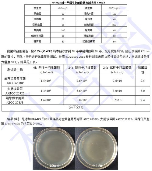 墙面装饰材料革新 KP M23 PVC/PU制品与防霉抗菌墙面涂料的协同应用
